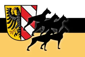 bk nbg wappen